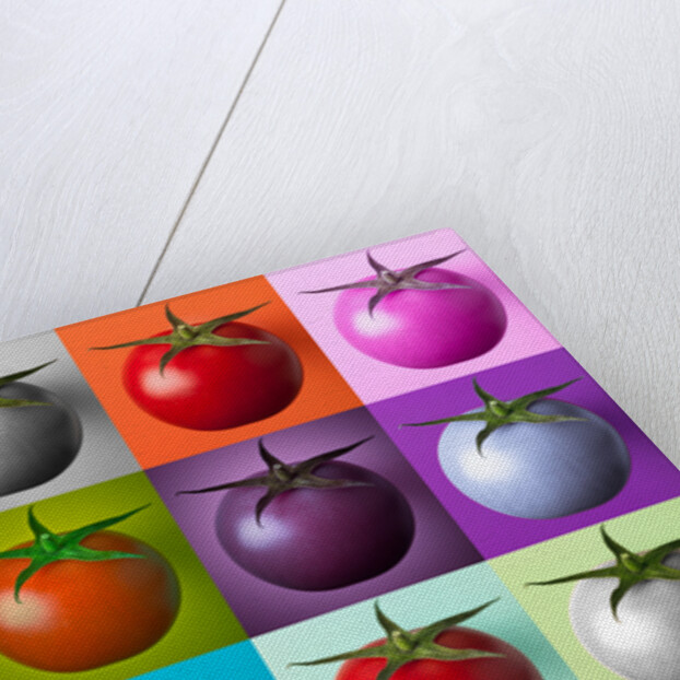 Multi coloured tomatos by Assaf Frank